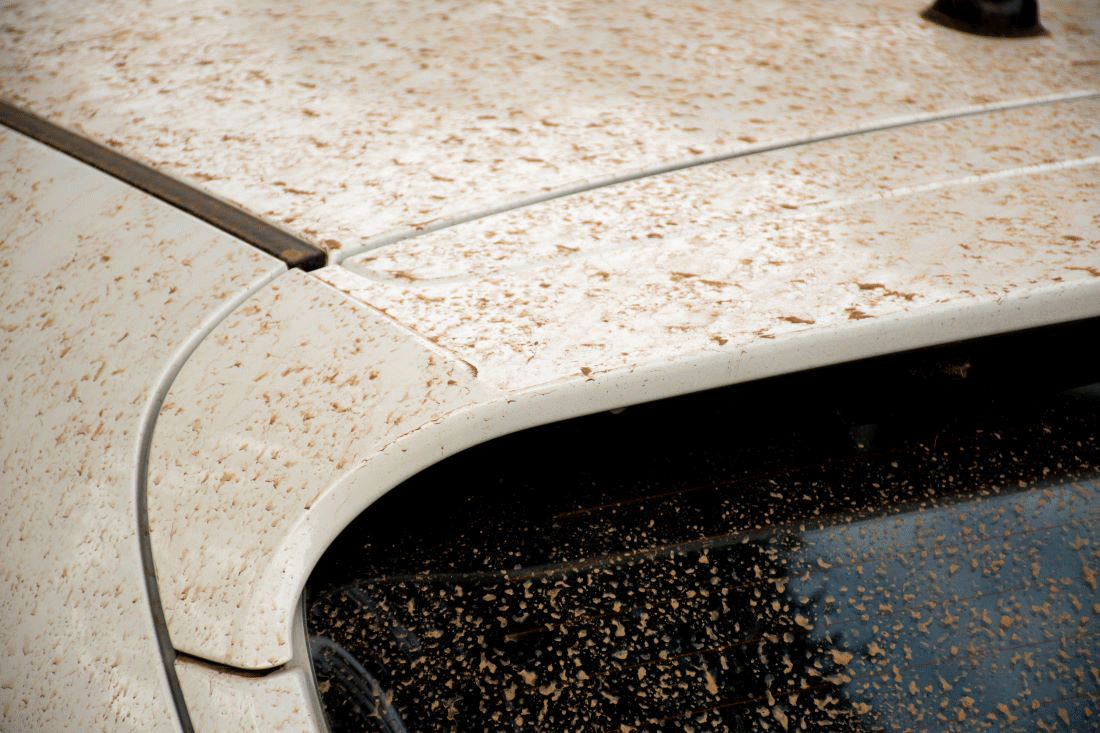 Car after dust storm before getting car washed